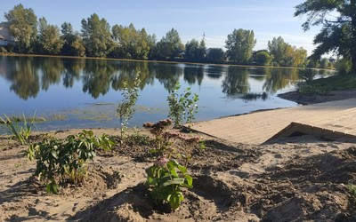 Новый пирс в парке Баранка украсили деревья и кустарники