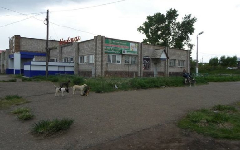 Кассовые пункты на автовокзалах в Шира и Жемчужном закроют 