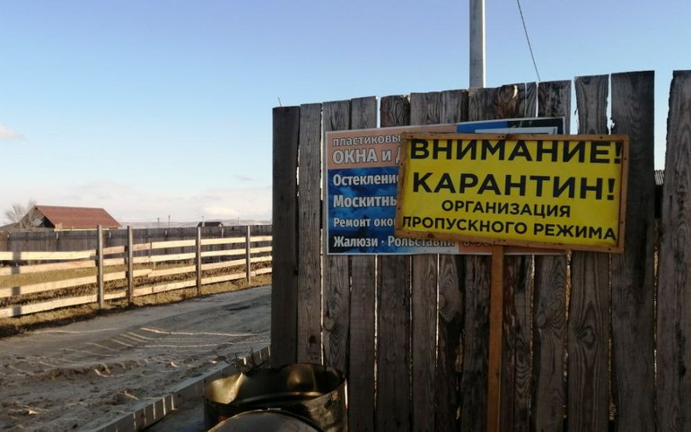 Узелковый дерматит в Калинино выявили в подворье на Вишневой 