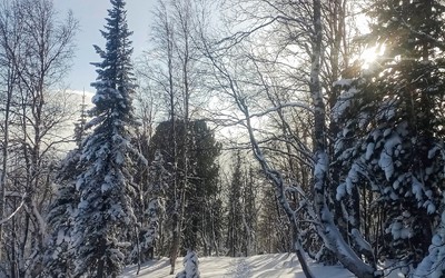 Сильные морозы отпустят Хакасию. У нас потеплеет 