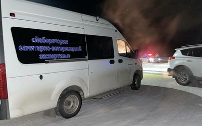Заразный узелковый дерматит подтвердился в Малой Минусе