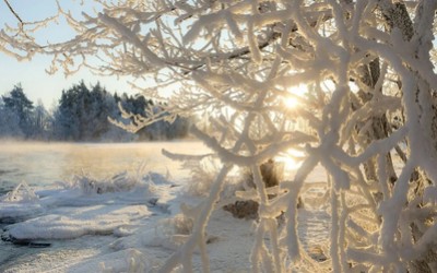 Морозы до -29° нагрянут в Хакасию к выходным 