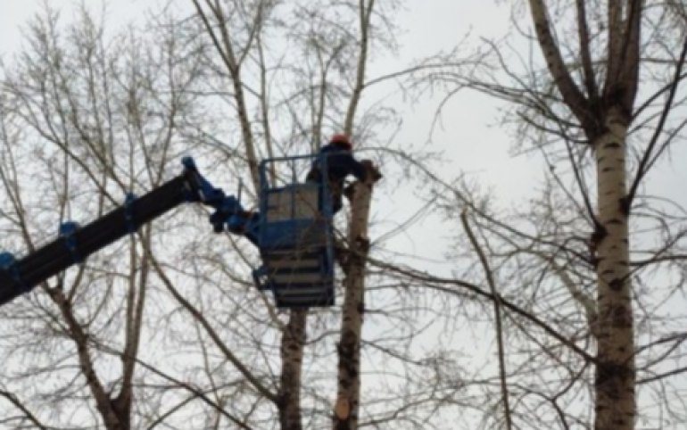 Вяткина в Абакане частично перекроют из-за обрезки деревьев 