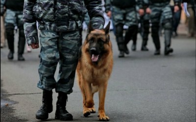 Антитеррористическое учение проведут в Абакане 