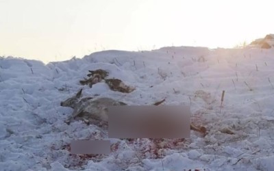 Браконьеров, промышлявших в Хакасии, наказали на 2 млн 