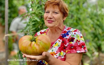 День помидора в Минусинске отпразднуют 17 августа 