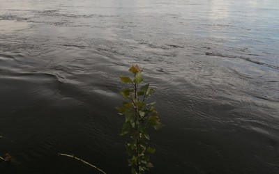 Спасатели ищут мужчину, пропавшего на реке Абакан с прошлой недели