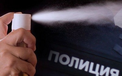 Жительница Саяногорска распылила газовый баллончик в полицейского