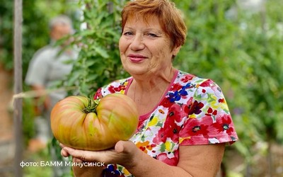 День помидора в Минусинске отметят в эту субботу