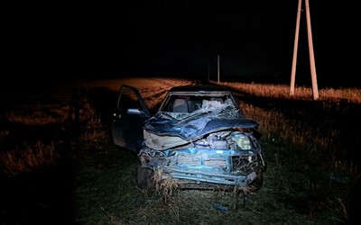 Легковушка сбила лошадь и опрокинулась в Бейском районе 
