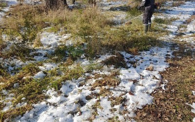 Основание под лыжную трассу готовят в абаканской зоне отдыха