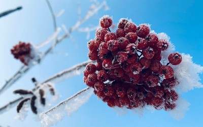 Температура в Хакасии по итогам ноября превысила климатическую норму
