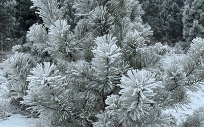 Морозы до -30° ударят в Хакасии
