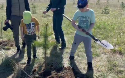 Победа 80: большой памятный геоглиф из сосен появится в Белом Яре 
