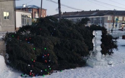 Порывы ветра в Хакасии повалили новогодние елки 