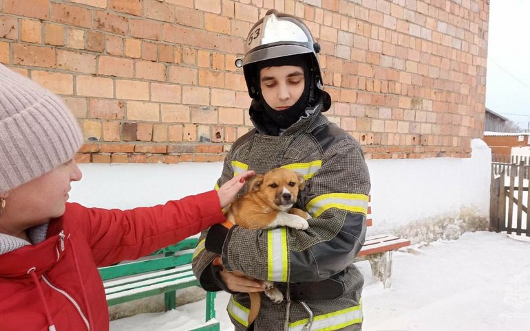 Щенок провалился в вентиляцию в Краснотуранске 