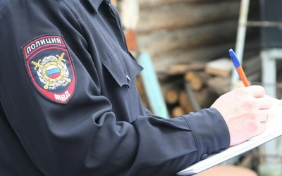 Бродячая собака вновь набросилась на ребенка в Сорске