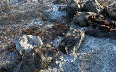 Устроившего стихийный скотомогильник в Усть-Абаканском районе нашли
