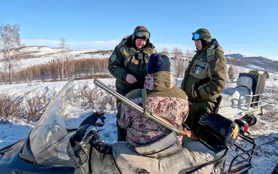 Полсотни капканов, петли и 15 особей косули изъял Охотнадзор Хакасии у браконьеров 