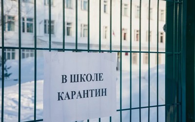 Карантин вводят в школе в Зеленом