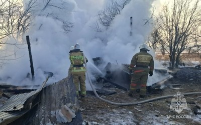 Бараны, ягнята и полсотни куриц погибли в пожаре в Хакасии из-за обогревателя