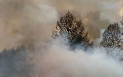 Леса в Хакасии горели из-за подростков и искр от тепловоза