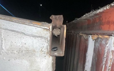 Абаканский подросток попался на синтетических закладках