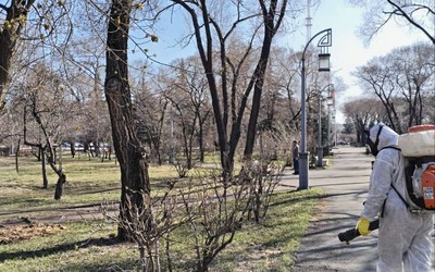 Абаканские парки, скверы и кладбища обрабатывают от клещей