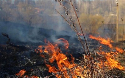 50 нарушителей особого противопожарного режима попались в Хакасии