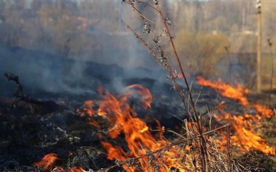 Еще 6 нарушителей особого противопожарного режима оштрафовали в Хакасии