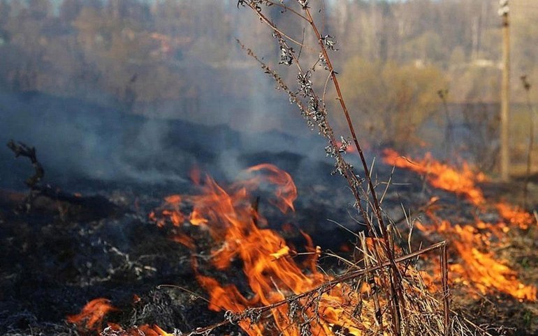 Еще 6 нарушителей особого противопожарного режима оштрафовали в Хакасии