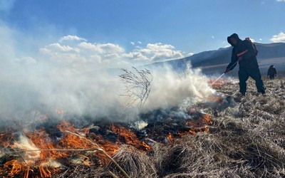 450 гектаров: крупный пожар Ширинском районе произошел из-за выброшенной золы