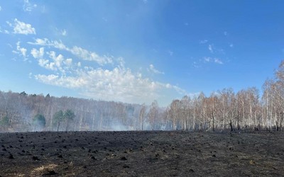 Житель Красноярского края устроил пал сухостоя, чтобы не было клещей