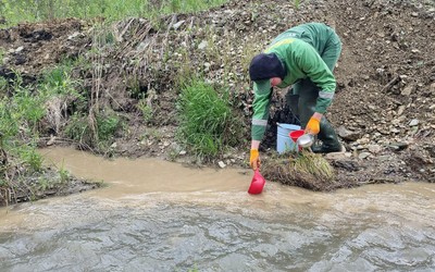 Превышения по марганцу и железу нашли в еще одной реке Хакасии