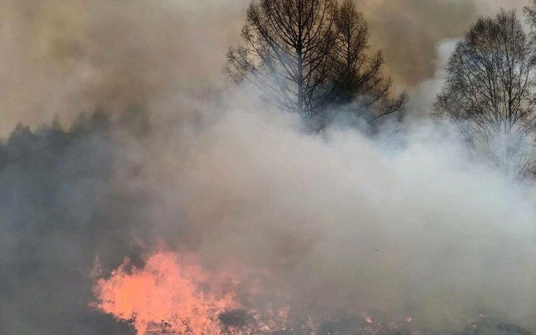 Из-за грозового разряда в Аскизском районе загорелся лес