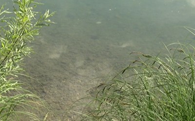 В Хакасии утонул мужчина