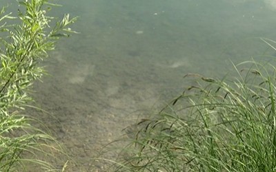В реке Енисей возле Усть-Абакана обнаружен утопленник