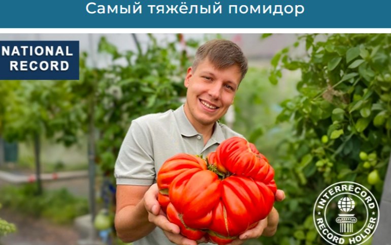 Помидор-чемпион минусинца Бориса Сонина вошел в Российскую и Международную книги рекордов