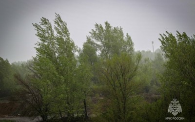 За иномарку, пострадавшую в апрельский ураган, жительница Хакасии отсудила у коммунальщиков полсотни тысяч 