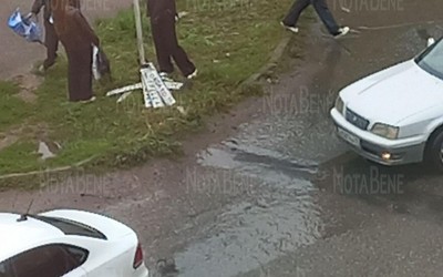 Коллекцию номеров, потерянных в огромной луже, собрали на Стофато