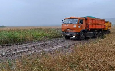 Уборочная кампания в Хакасии в застое. На поля не выйти из-за распутицы 