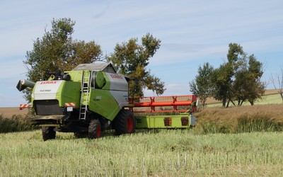 Бабье лето помогло аграриям Хакасии с уборкой урожая