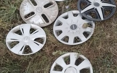 Такой «урожай» собрал саяногорец по дороге в Абакан