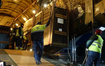 8 лошадей Пржевальского доставлены самолётом в Хакасию