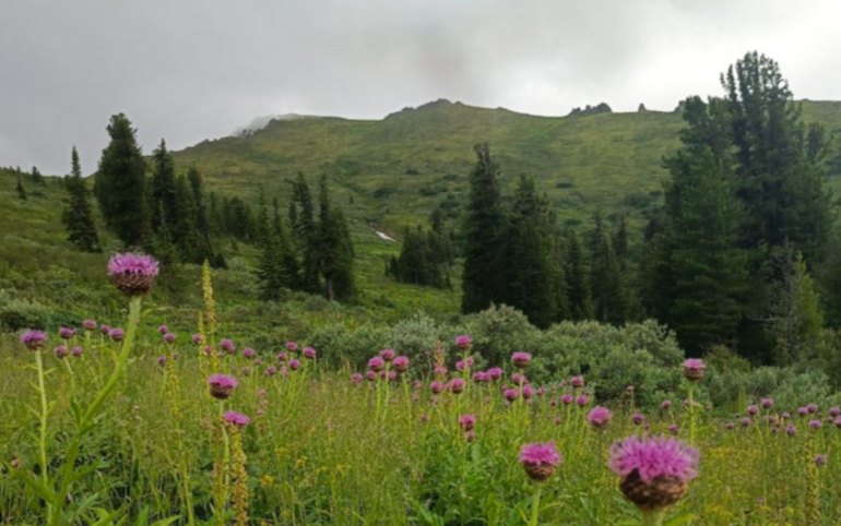 Природный парк «Ергаки» расширили 