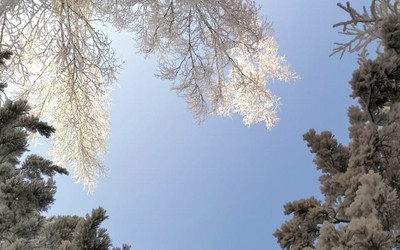 До -38°: декабрь в Хакасии будет морозным