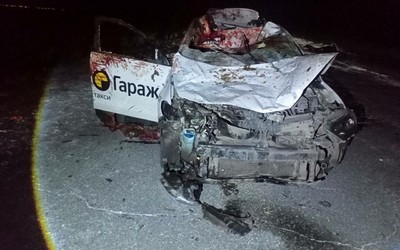 Лошадь, выбежавшую на проезжую часть, сбили в Аскизском районе
