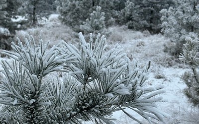Похолодание, ветер и снег идут в Хакасию