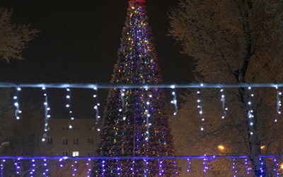 89 силовиков будут следить за безопасностью на главной елке в Черногорском парке