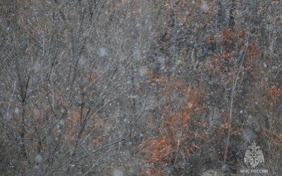 Первое штормовое предупреждение в 2026 году